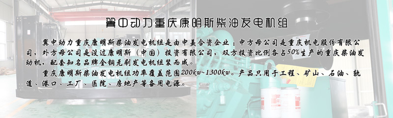 翼中動(dòng)力重慶康明斯柴油發(fā)電機(jī)組